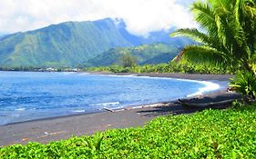 Tahiti Surf Beach Paradise